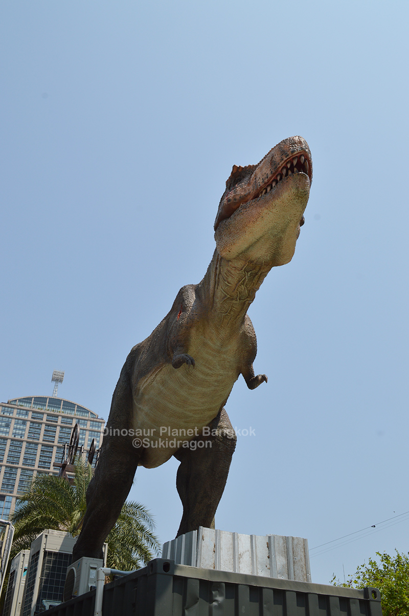 Dinosaur Planet Bangkok ©Sukidragon Dinosaur Planet Bangkok ©Sukidragon